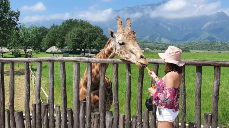 tours en monterrey bioparque estrella